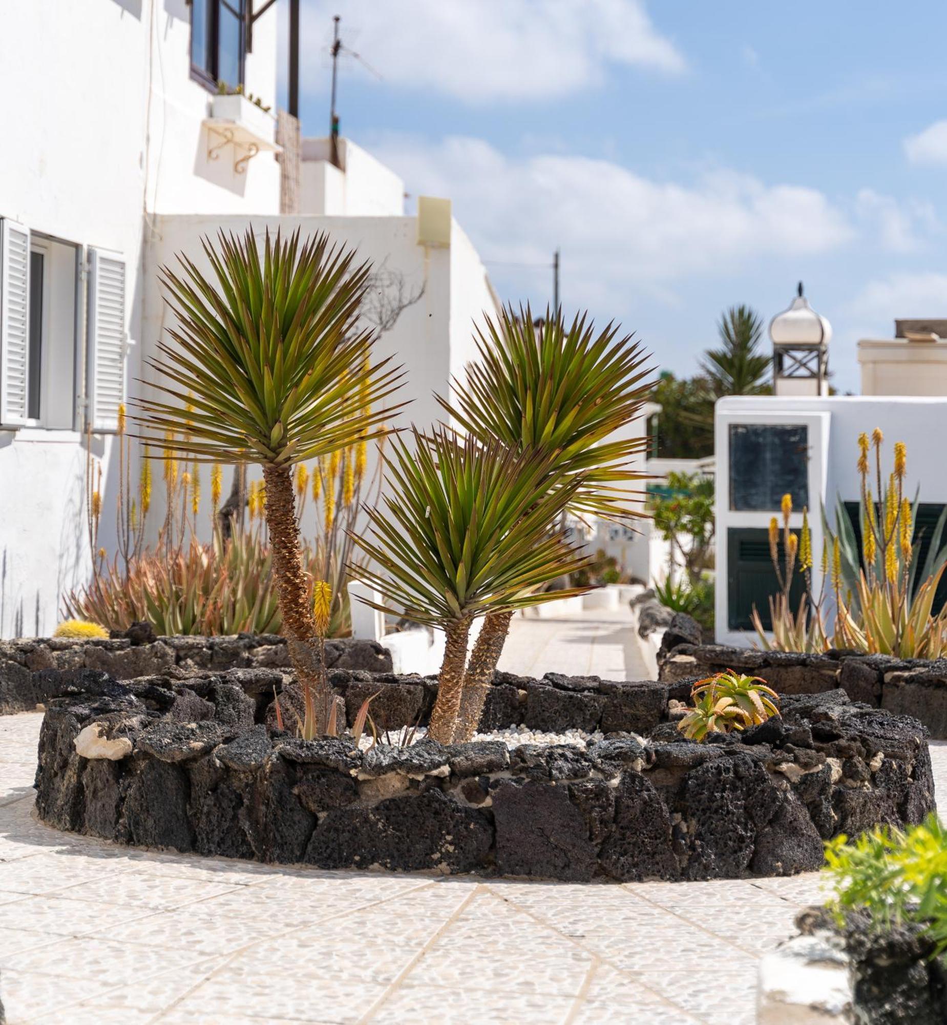 Casa Salinas Del Mar Apartment Guatiza Phòng bức ảnh